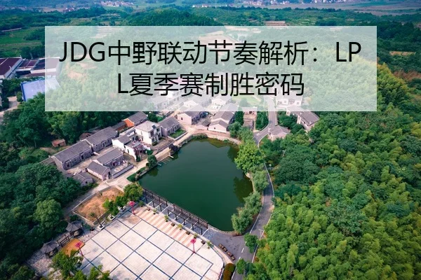 JDG中野联动节奏解析：LPL夏季赛制胜密码