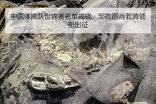 中国体操队世锦赛名单揭晓，邹敬园肖若腾领衔出征