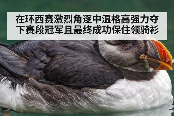 在环西赛激烈角逐中温格高强力夺下赛段冠军且最终成功保住领骑衫