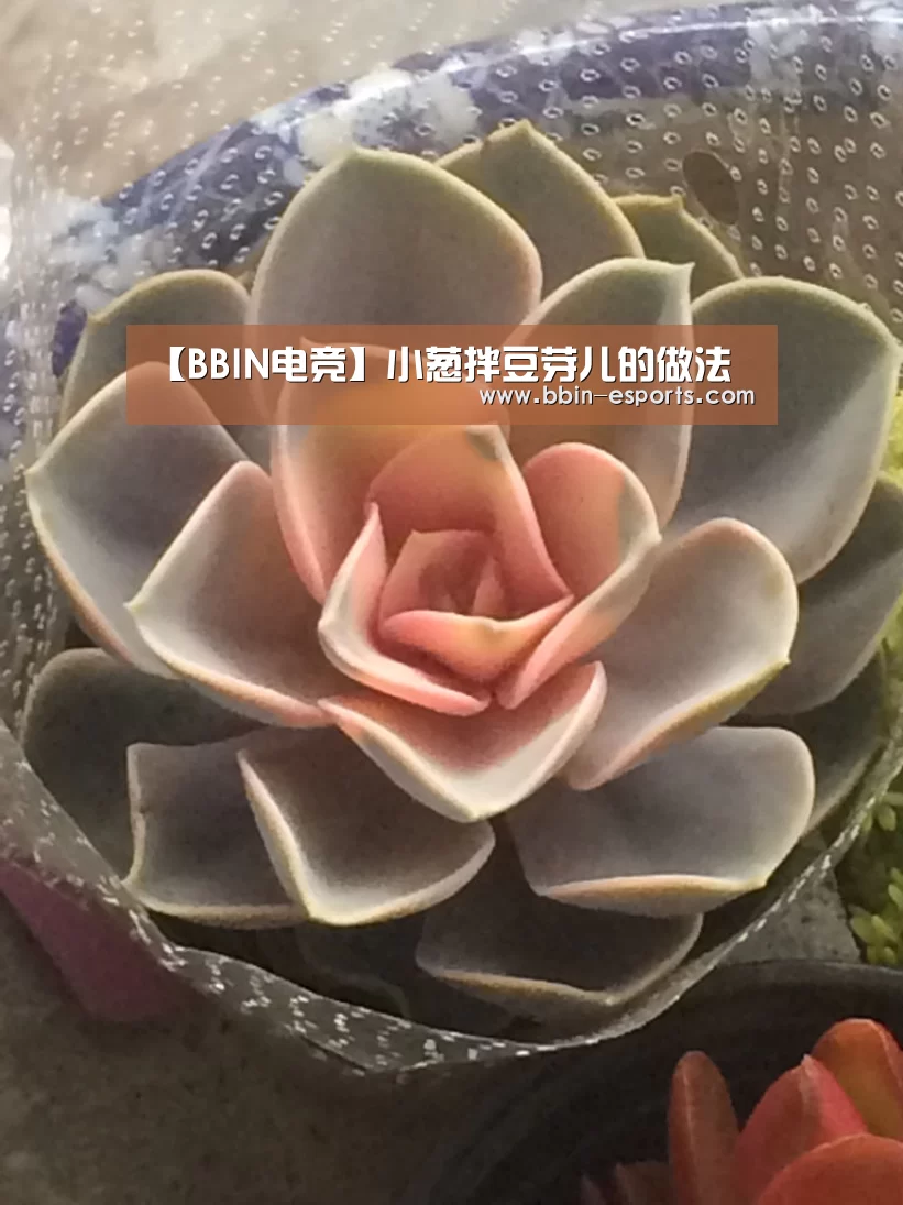 【BBIN电竞】小葱拌豆芽儿的做法