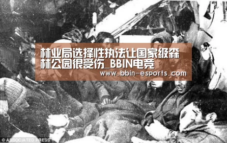 林业局选择性执法让国家级森林公园很受伤_BBIN电竞